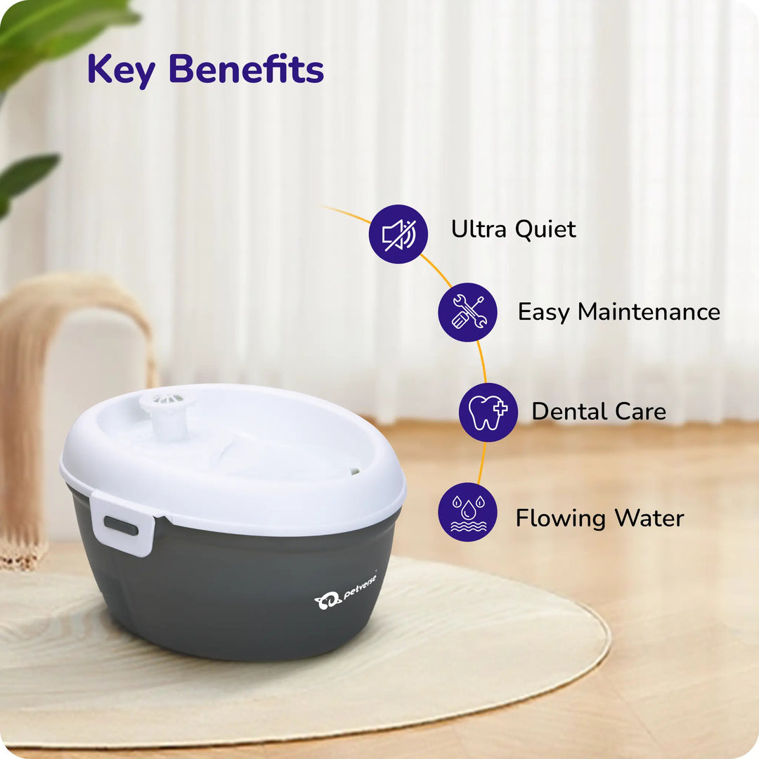 Automatic pet water fountain key benefits