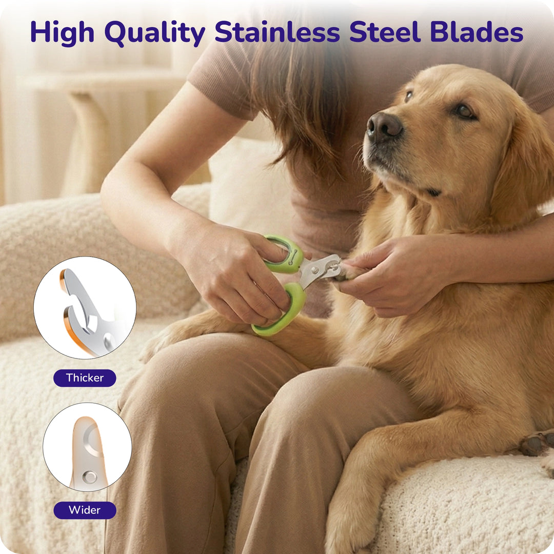 Person trimming a golden retriever’s nails with green pet nail clippers showing high‑quality stainless steel blades