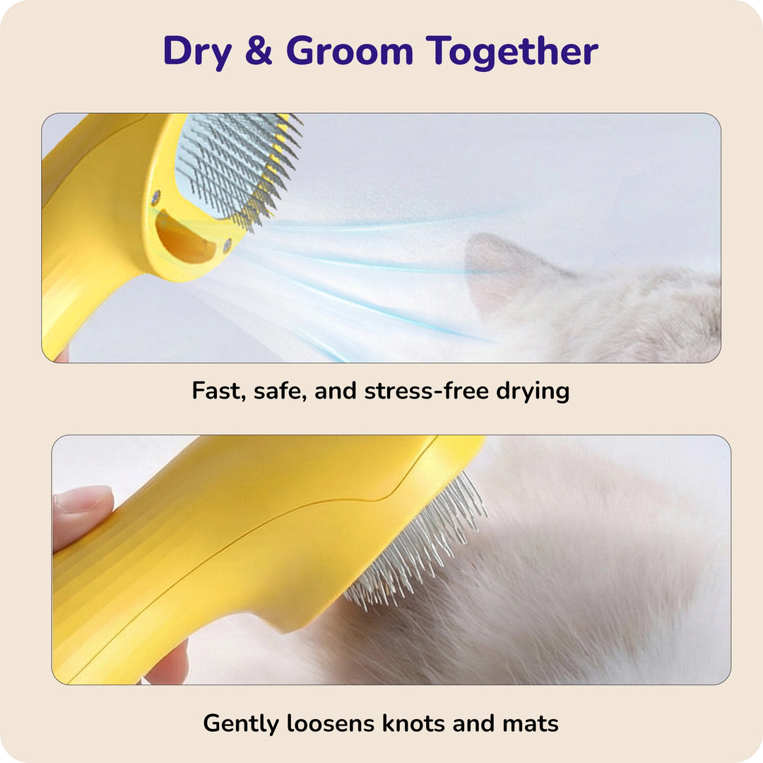 Yellow pet grooming brush drying and detangling fur safely