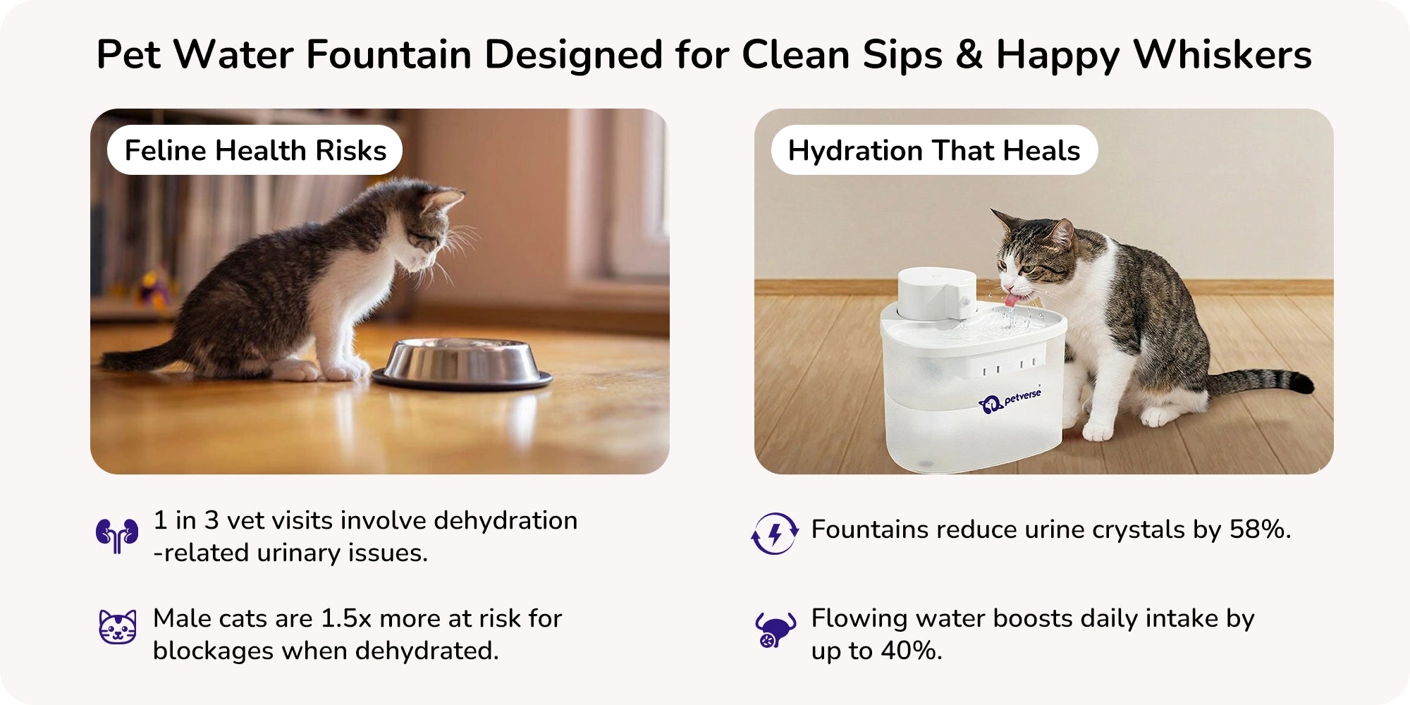 Pet water fountain with cat drinking and infographic about improved hydration benefits