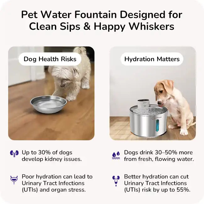 Pet water fountain benefits of drinking water. Better Hydration can cut urinary tract infections risk.