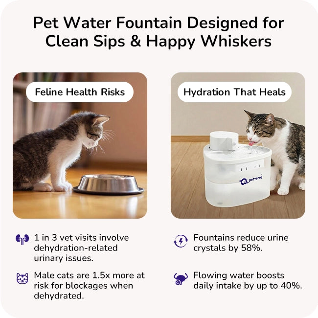 Pet water fountain with cat drinking and infographic about improved hydration benefits