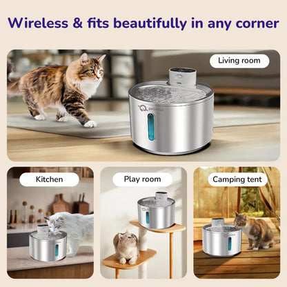 Pet water fountain with cat drinking and placements in the living room, kitchen, playroom, and camping.