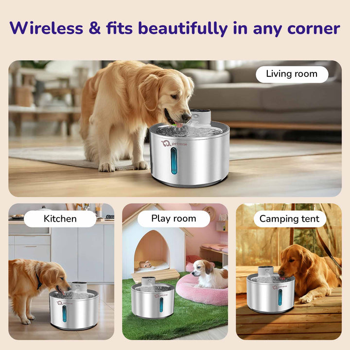Smart Motion Sensor Dog Water Fountain (4L)