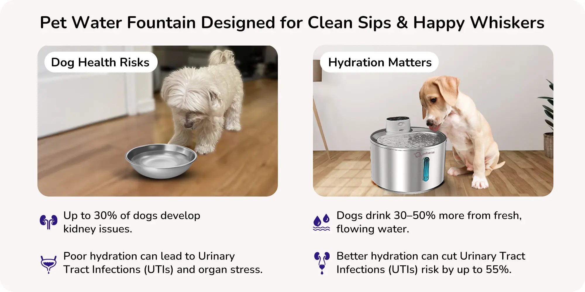 Pet water fountain benefits: dog health risks from still water versus happier hydration with flowing water.
