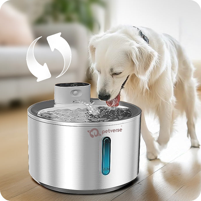 Continuous Mode - Provides a steady, uninterrupted flow of water for dogs who prefer constant access.