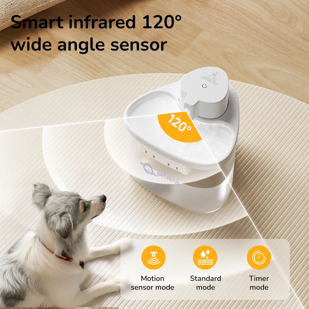 Cat approaching the Petverse water fountain with a highlighted 120° detection range.