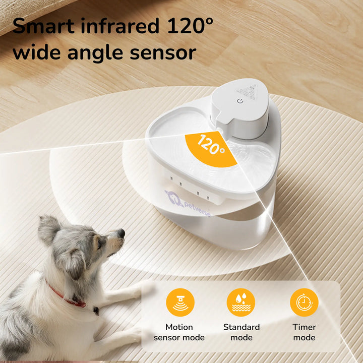 Cat approaching the Petverse water fountain with a highlighted 120° detection range.