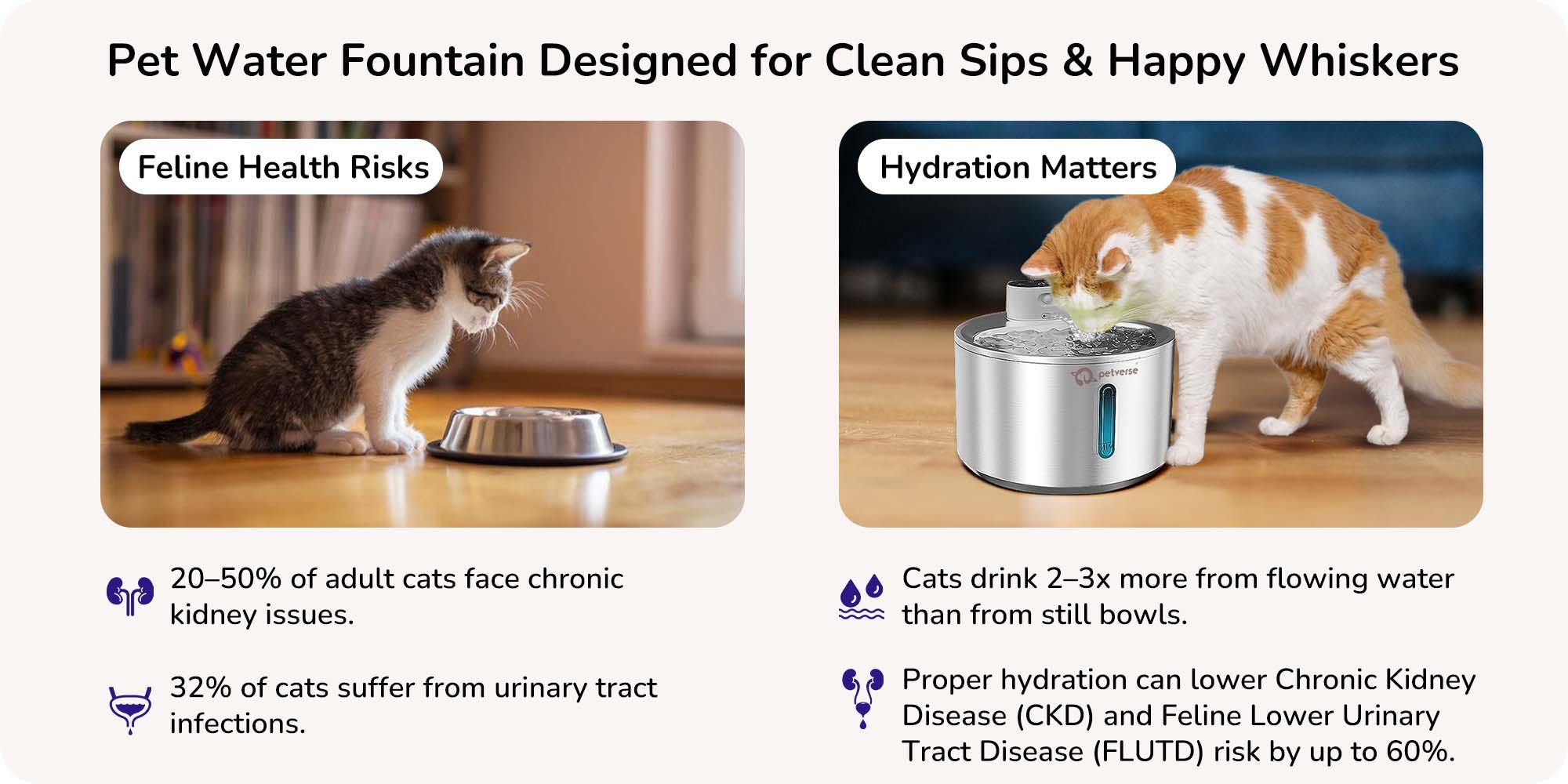 Pet water fountain designed for clean sips and happy whiskers 