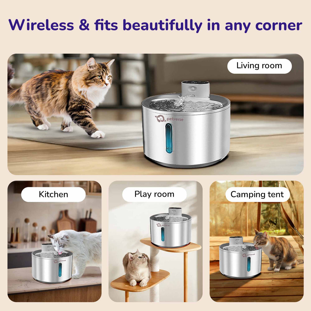 Petverse Dog Drinking Fountain Ideal for Home or Travel