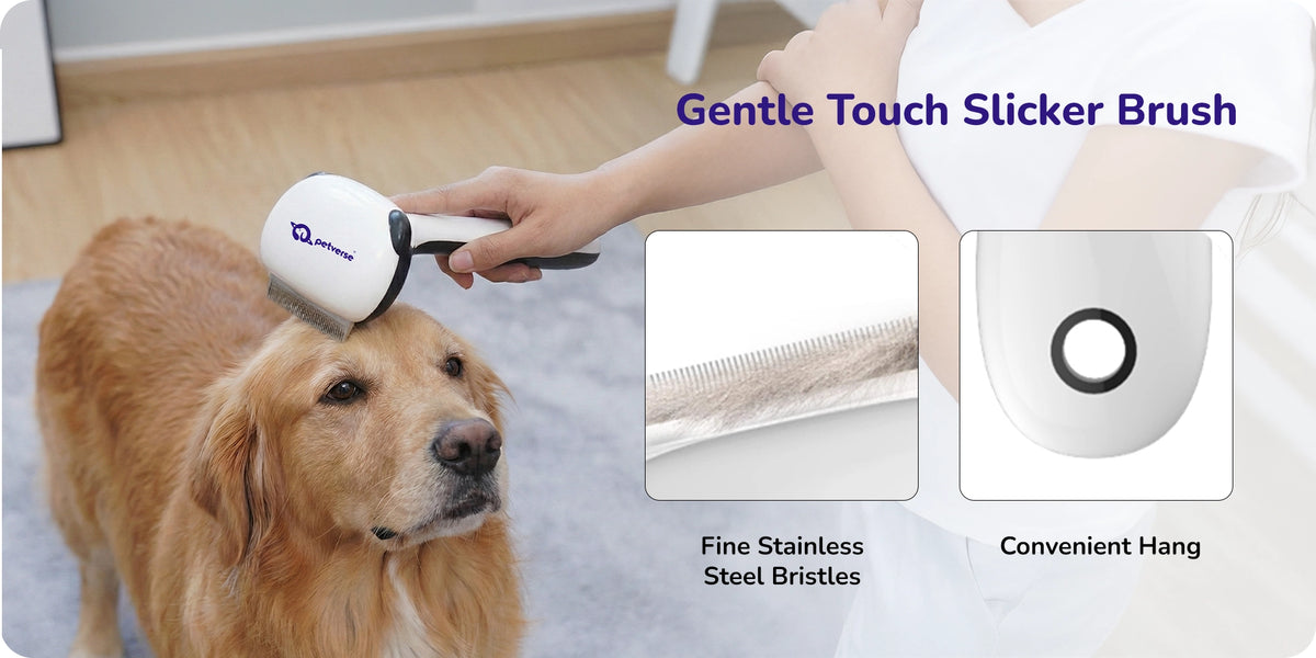 Hand‑held slicker brush removing dog fur with fine metal bristles.