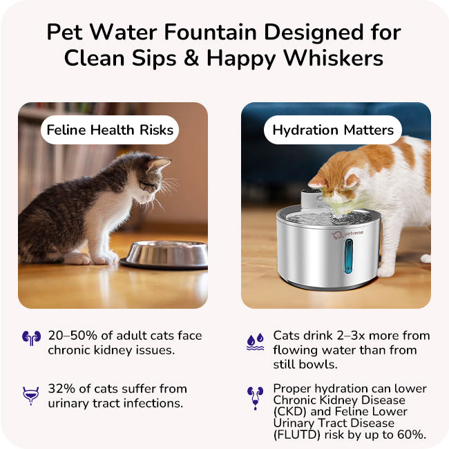 Pet Water Fountain designed for cleans sips and happy whiskers 