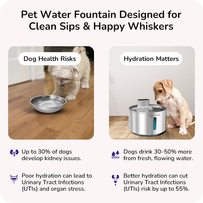 Pet water Fountain designed for clean sips and happy whiskers