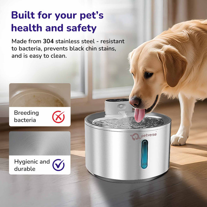 Smart Motion Sensor Dog Water Fountain (4L)