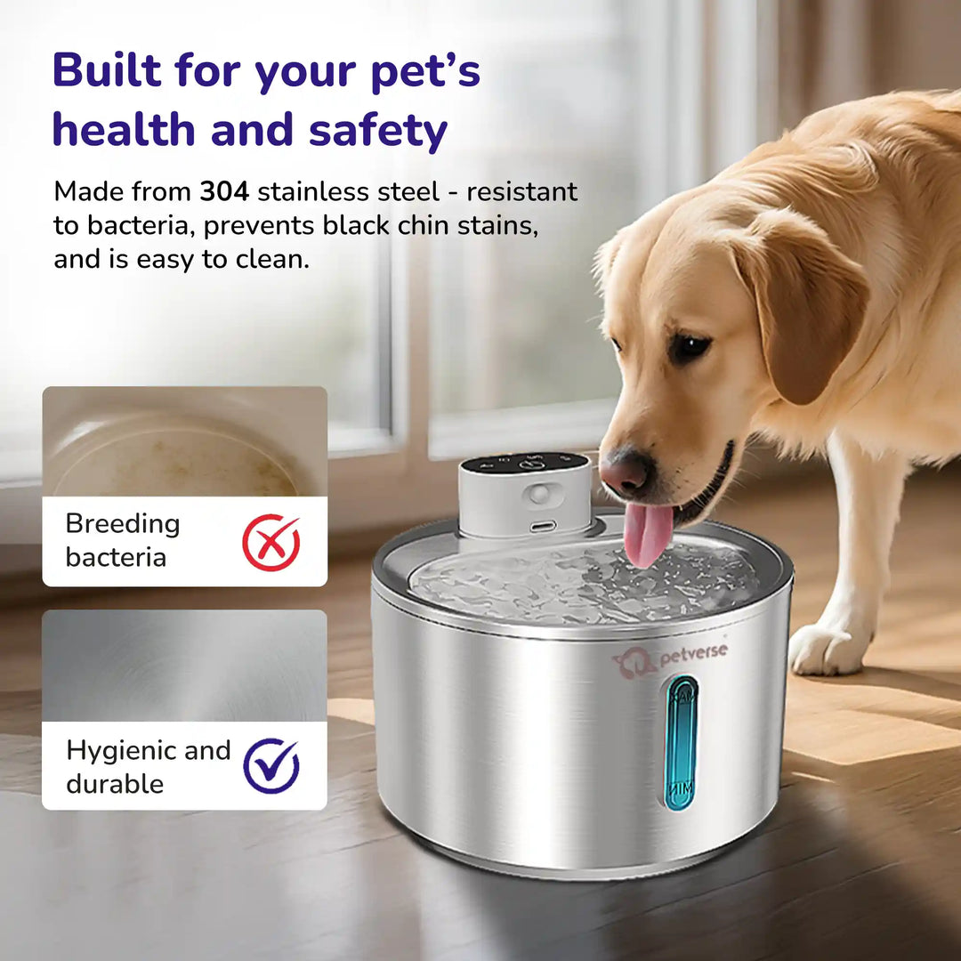 Dog drinking from stainless steel pet water fountain highlighting hygienic, bacteria‑resistant design