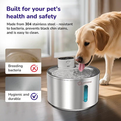Dog drinking from stainless steel pet water fountain highlighting hygienic, bacteria‑resistant design