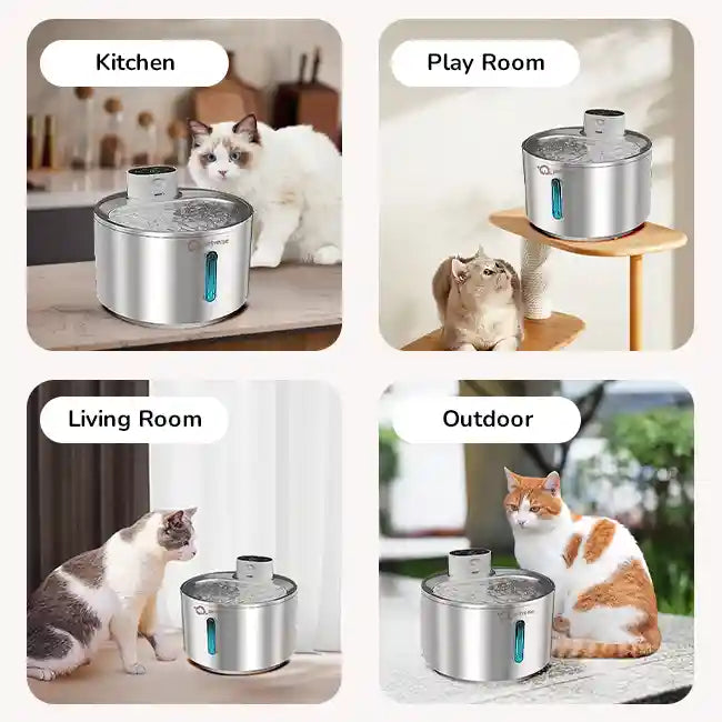 Steel Water fountain can be placed any where placed in the house like Kitchen, Play Room, Living Room, and Outdoor.