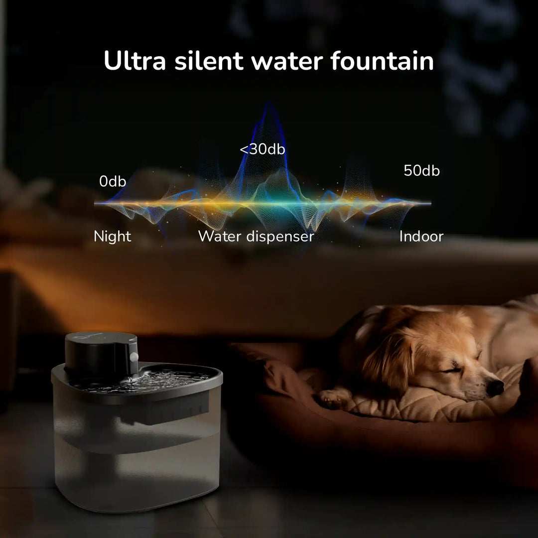 Sleeping dog next to ultra‑silent water fountain showing <30 dB noise comparison chart.