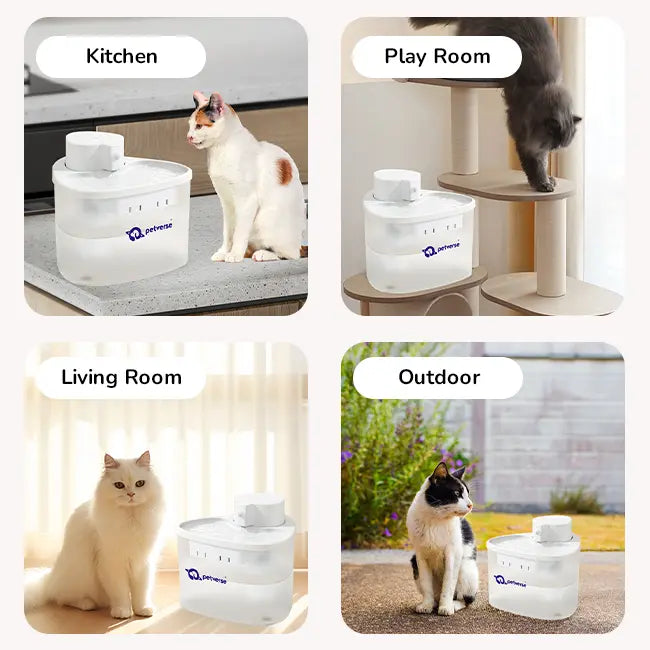 Four-panel column image showing cats with a white Petverse water fountain in different home settings: kitchen, playroom, living room, and outdoor patio