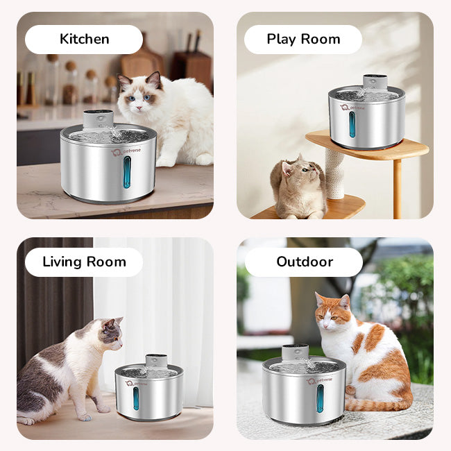 Petverse Cat Drinking Fountain Ideal for Home or Travel