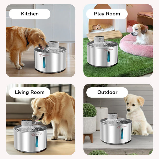 Petverse Dog Drinking Fountain Ideal for Home or Travel