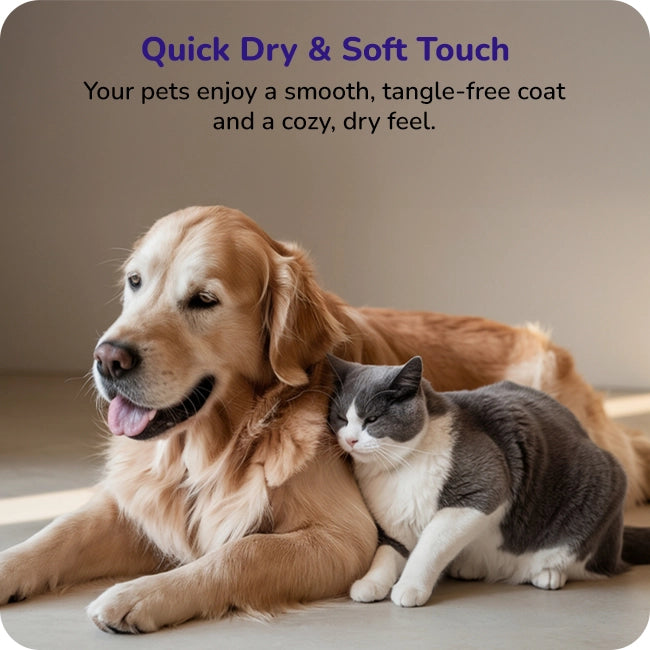 A golden retriever and grey-white cat enjoying a smooth, tangle-free coat with quick-dry soft touch indoors