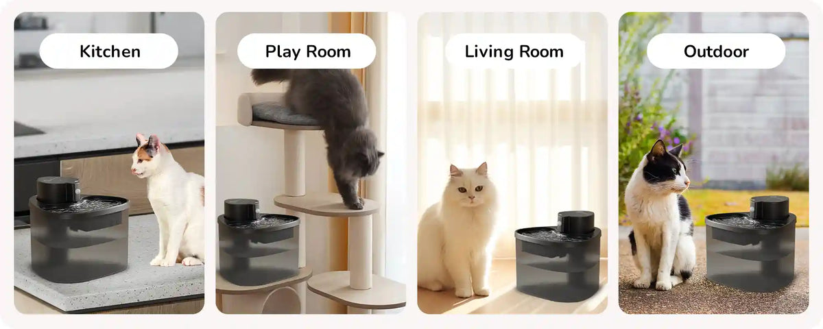 Collage of cats drinking from the black pet water fountain in kitchen, playroom, living room, and outdoor settings.