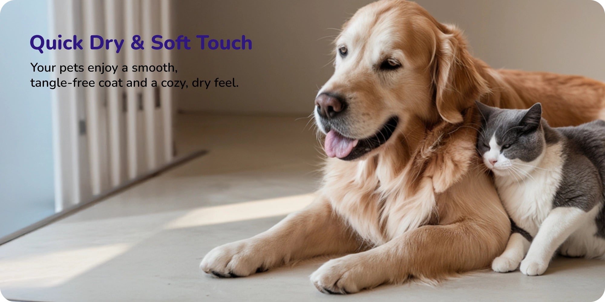 Golden retriever and grey-white cat enjoying a smooth, tangle-free coat with quick-dry soft touch indoors