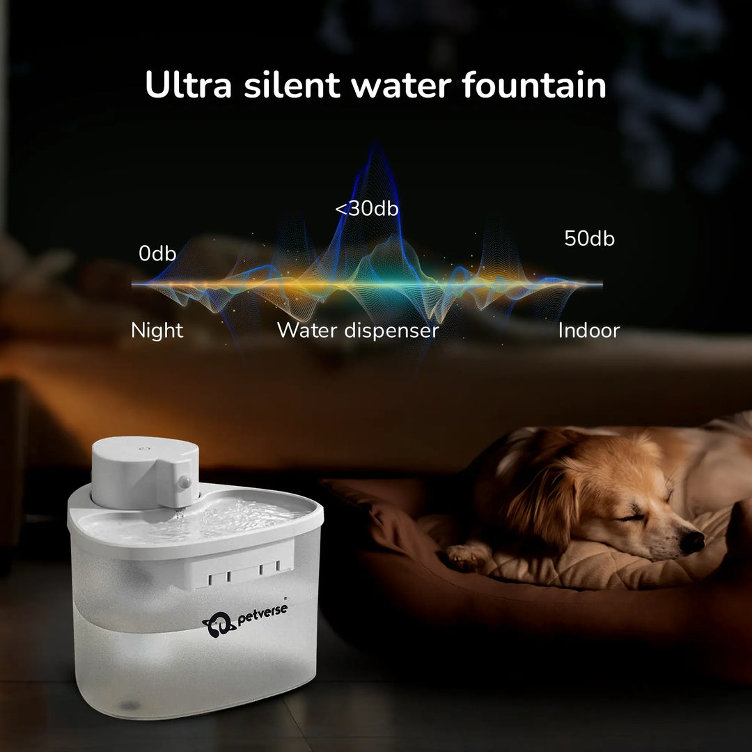 Pet water fountain with a sleeping dog beside it and on-image text ‘Ultra silent water fountain <30 db’ shown with a sound level graphic.