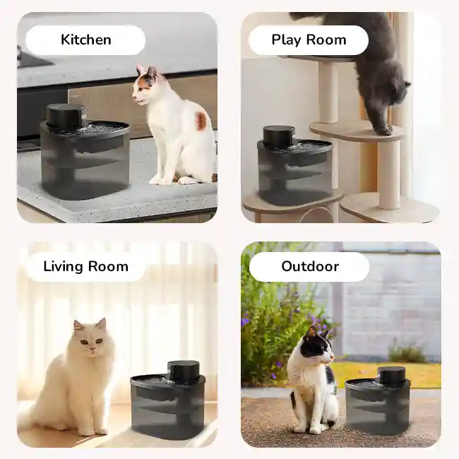 Collage of cats drinking from the black pet water fountain in kitchen, playroom, living room, and outdoor settings.