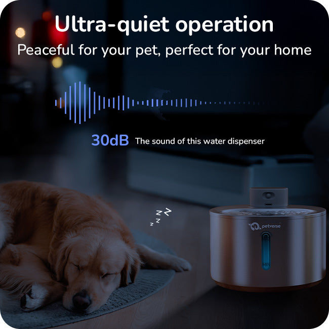 Pet water dispenser with ultra quiet operation