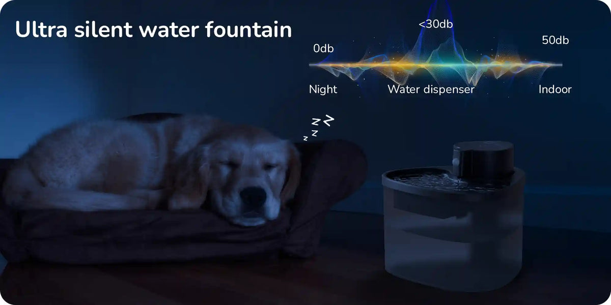 Ultra‑silent pet water fountain with a noise level chart and a dog sleeping beside it.