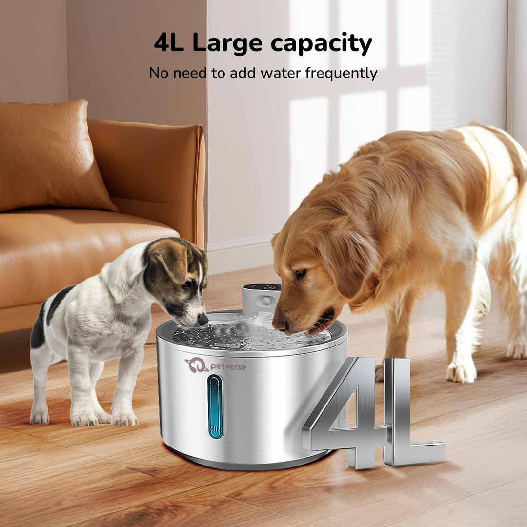 Smart Motion Sensor Dog Water Fountain (4L)