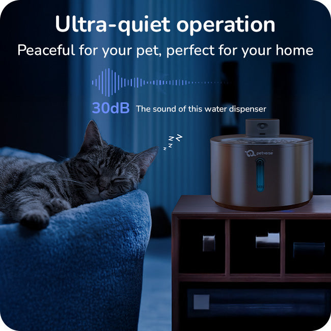 stainless steel Motion sensor cat water fountain with Ultra quiet operation 