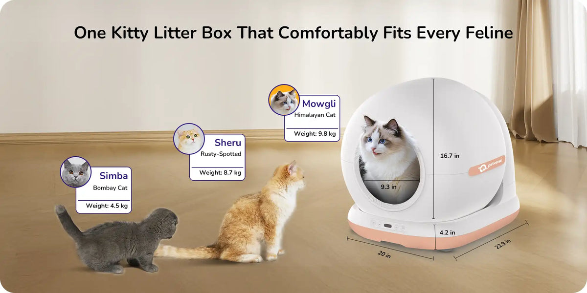 Top‑down view of a white automatic cat litter box showing the circular inner chamber and open lid.