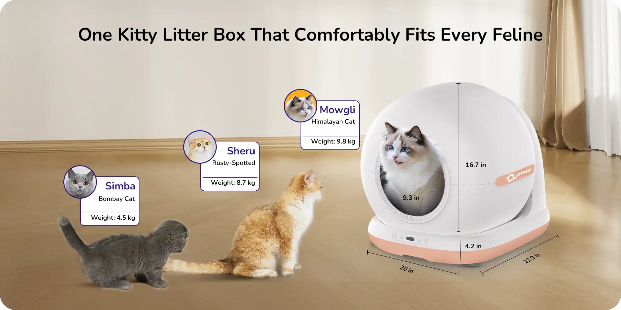 Top‑down view of a white automatic cat litter box showing the circular inner chamber and open lid.