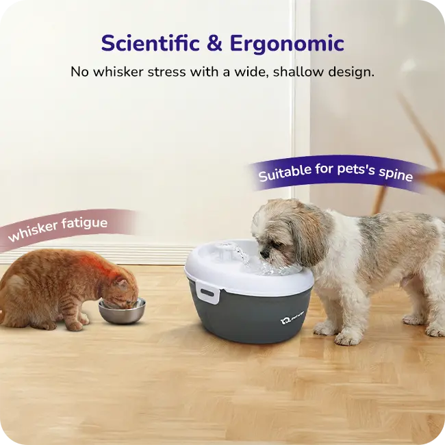 A cat drinking from a shallow pet water bowl next to a dog drinking from a raised ergonomic Petverse water fountain labeled ‘Scientific & Ergonomic.’