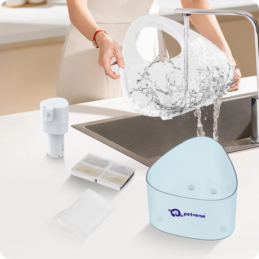 It displays the cleaning of the fountain and individual components.