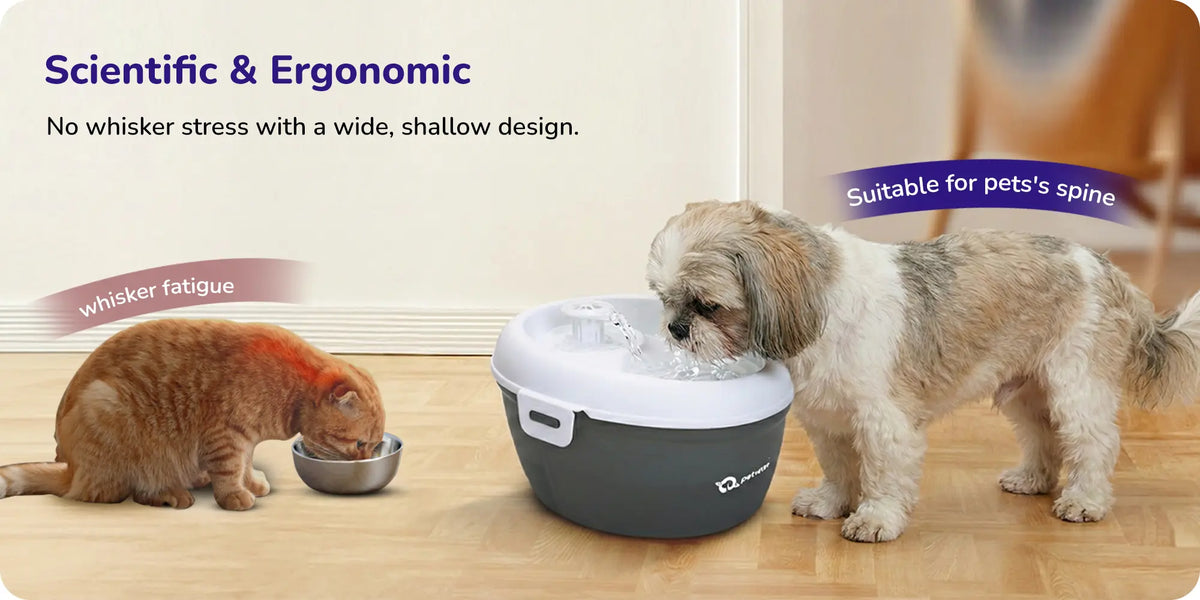 A cat drinking from a shallow pet water bowl next to a dog drinking from a raised ergonomic Petverse water fountain labeled ‘Scientific & Ergonomic.’