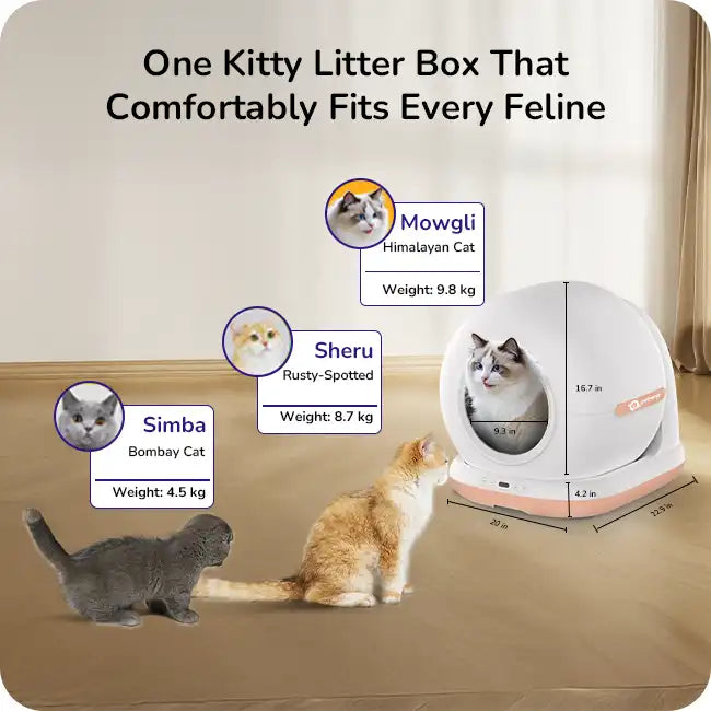 Top view of an automatic cat litter box showing the circular interior and open lid.
