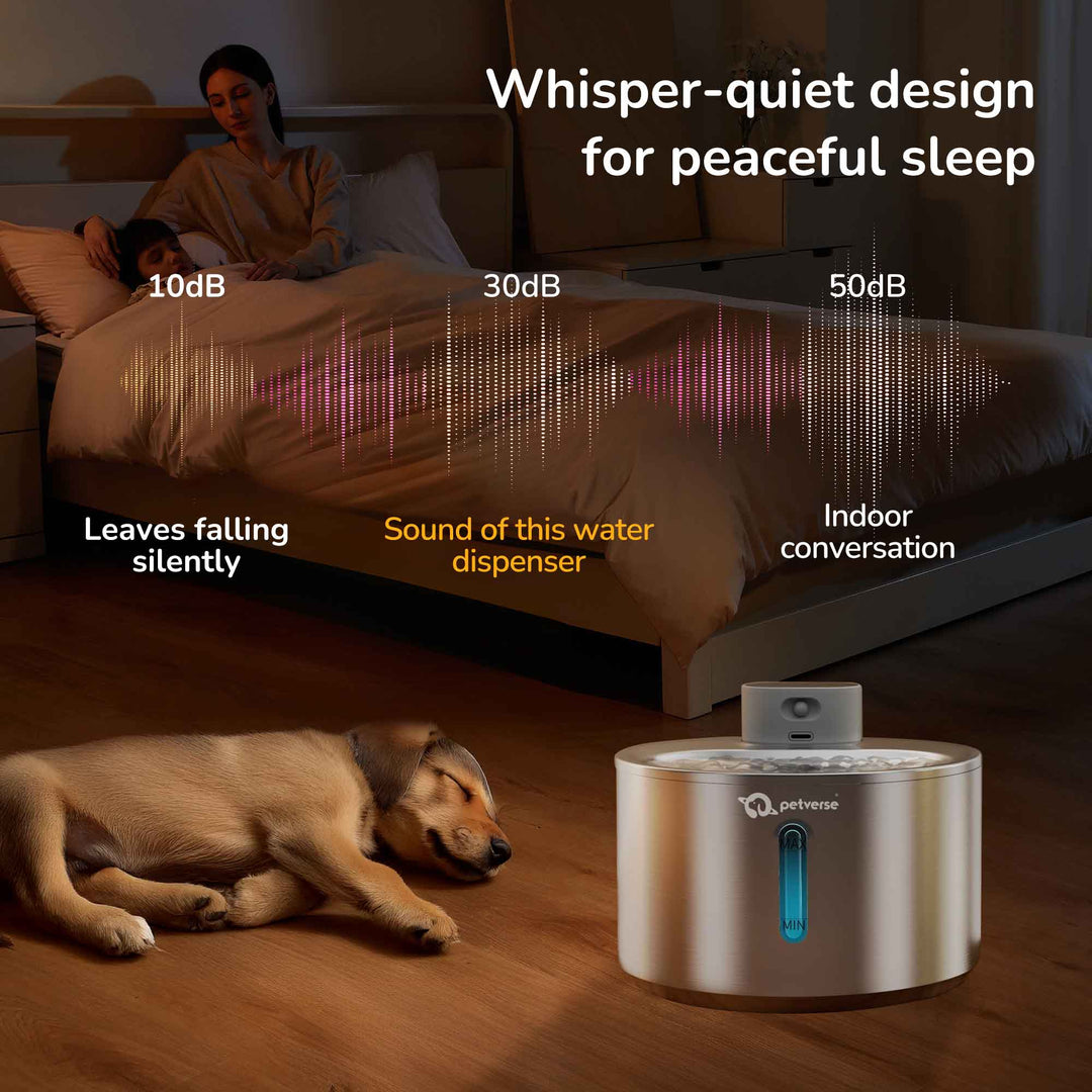 Smart Motion Sensor Dog Water Fountain (4L)