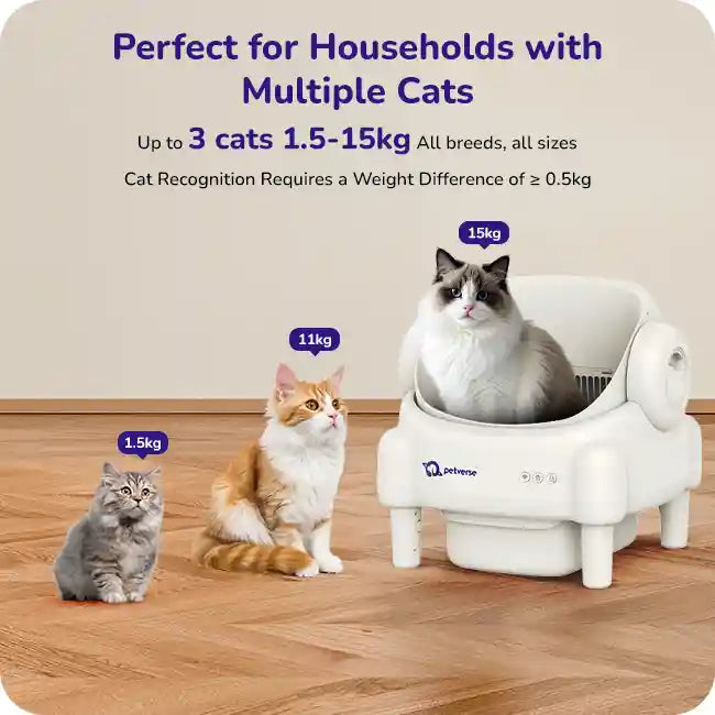 Automatic cat litter box shown with three cats of different sizes, highlighting suitability for households with multiple cats.