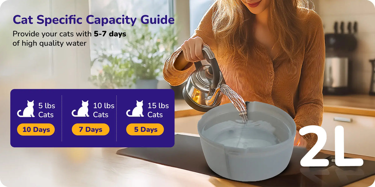 Cat water bowl with 2L capacity showing guide for 5–7 days of water based on cat weight