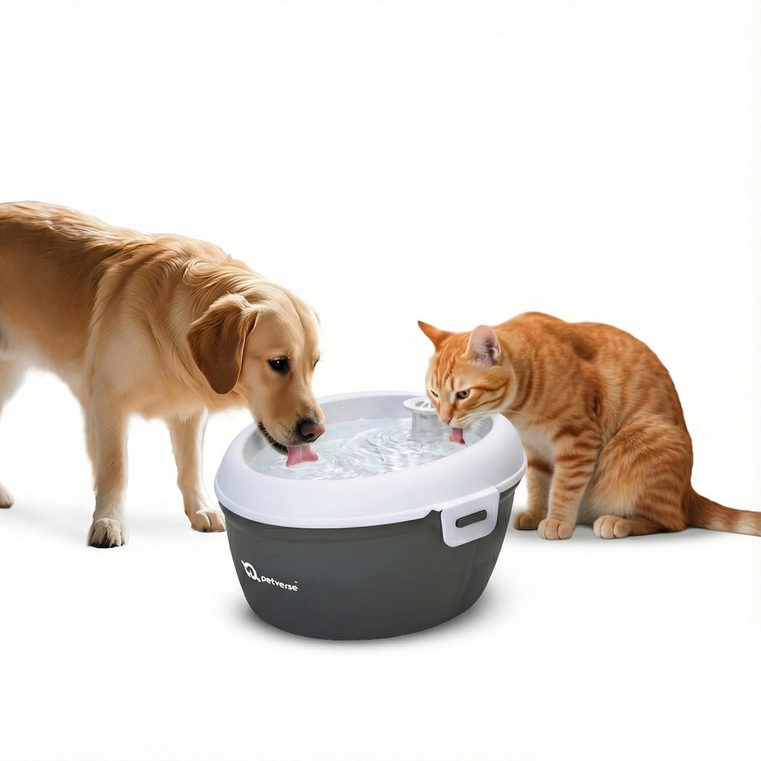 Pets drinking from an automatic pet water fountain.