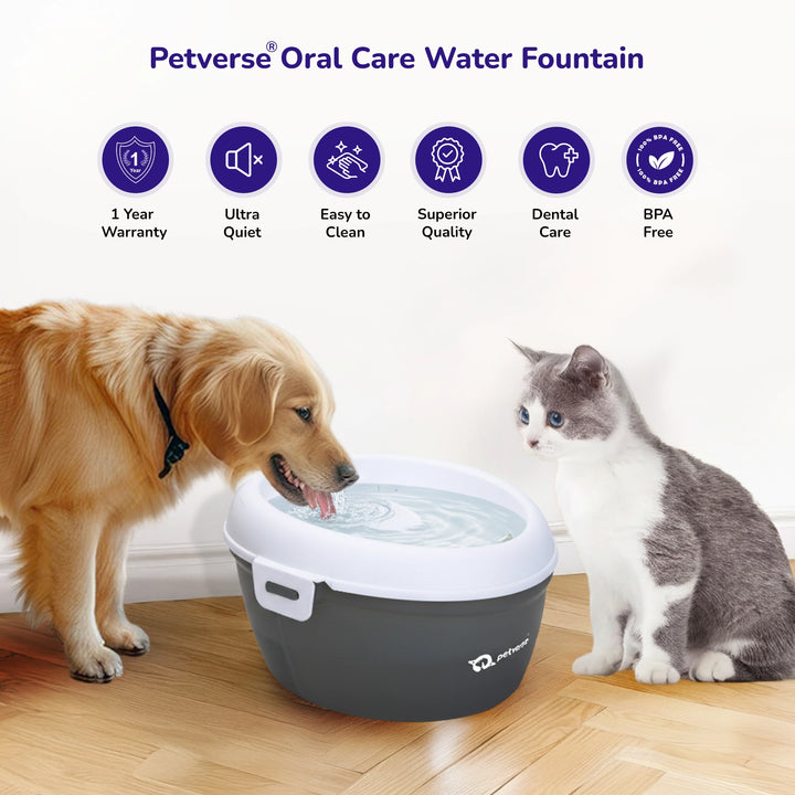 Pet water fountain with key features highlighted for oral care and clean hydration.