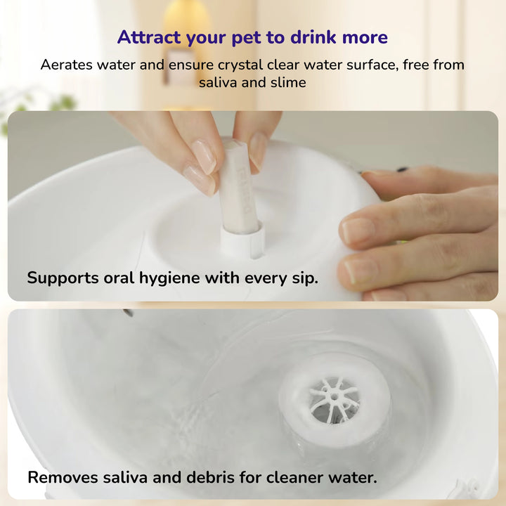 Pet water fountain showing circulating water and oral care benefits.