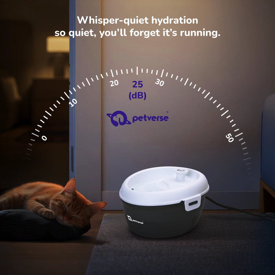 Whisper-quiet automatic pet water fountain.