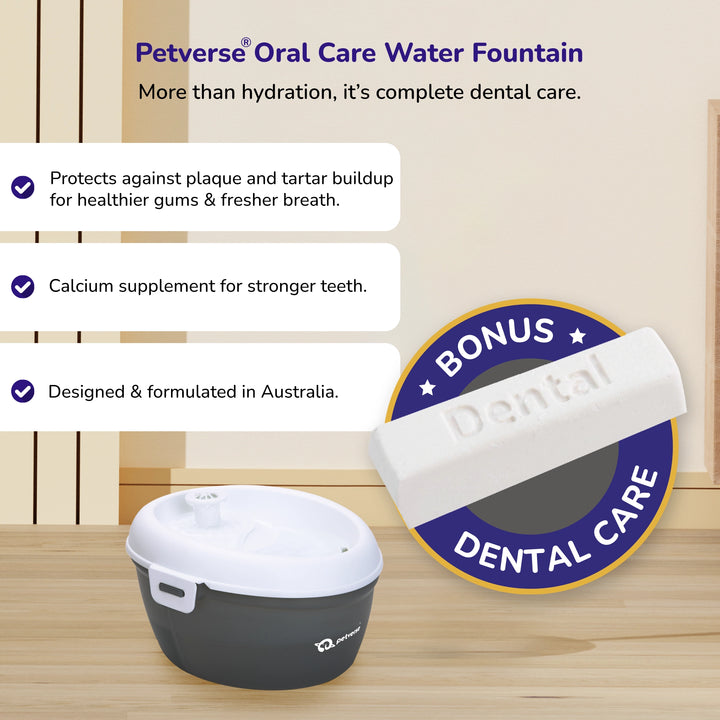 Grey and white automatic pet water fountain with dental care bonus bar for pets.