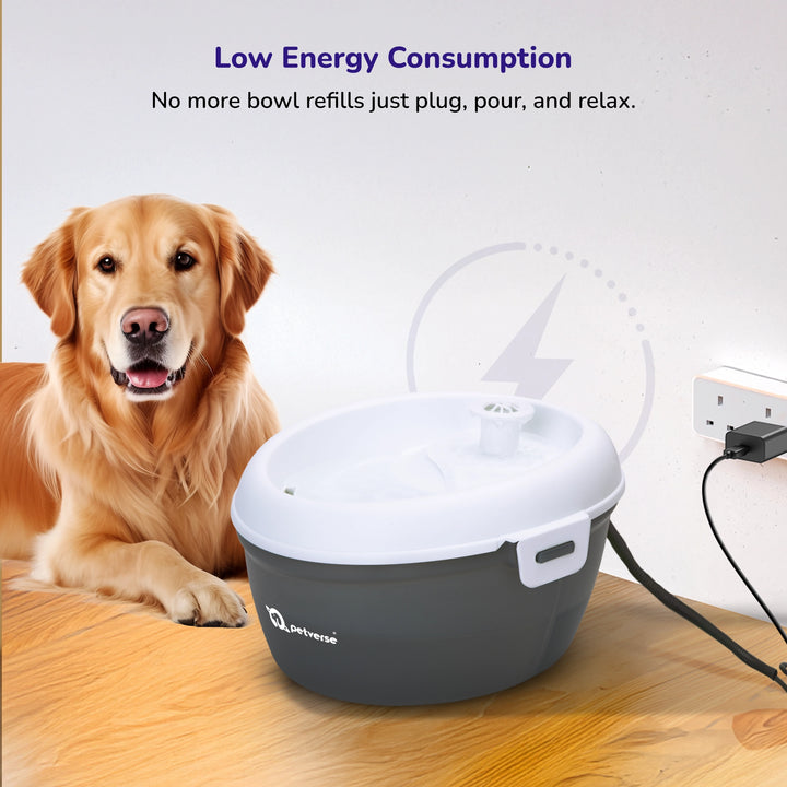 Automatic pet water fountain with flowing water next to a dog in a home setting.