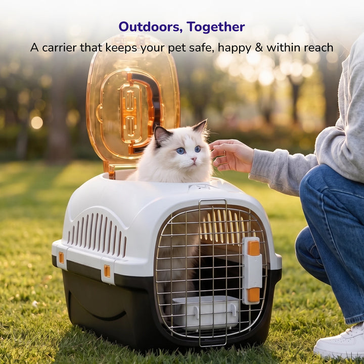 Pet Carrier Box